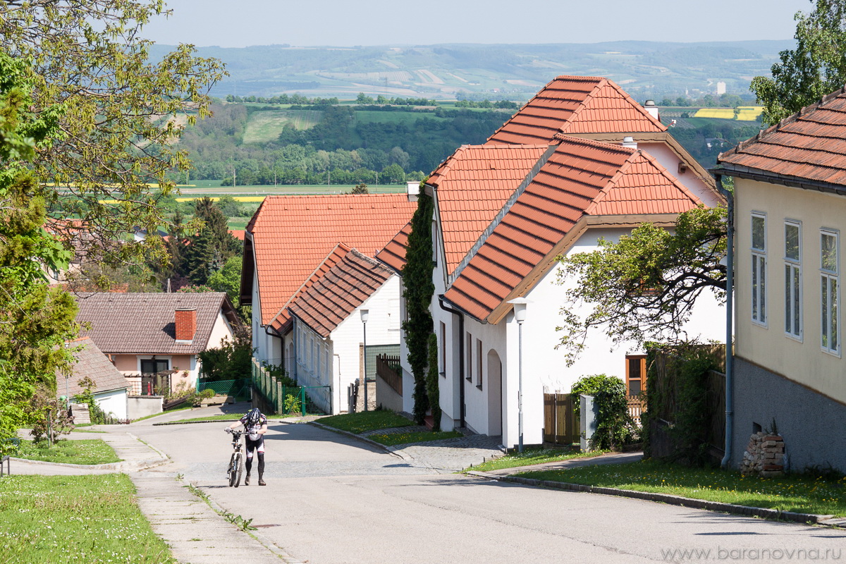Maissau